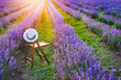 A chair with a hanged over hat between the blooming lavender rows under the summer sunset rays. Dream and relax concept.
