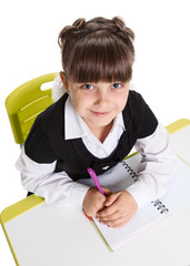 Wall Mural - Schoolgirl at the lesson