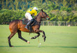 The rare image, The polo horse player hit the polo ball in the match.While horseshoes are about to fall off the horse's feet.