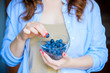 European or American woman at morning with fresh berries. Blueberries, woman's hands holding berry. Health care and diet and  breakfast cereal. Healthy eating and lifestyle concept
