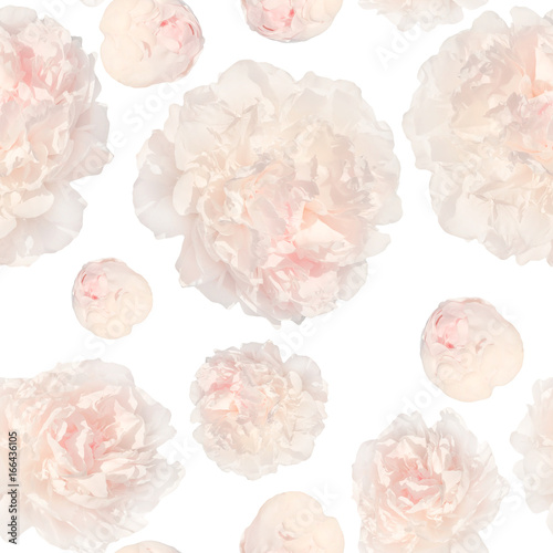 pattern of pale pink peonies luxury fresh