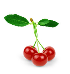 Wall Mural - Cherry isolated on white background