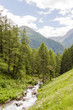 Guarda, Dorf, Via Engiadina, Wanderweg, Bergbach, Nationalpark, Engadin, Alpen, Unterengadin, Lärchenwald, Graubünden, Sommer, Schweiz