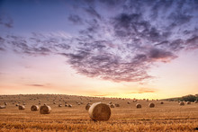 Straw Bales Are The Beautiful Scenery