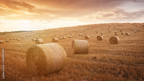 Fotografía Straw bales are the beautiful scenery