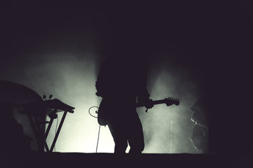 Wall Mural - Guitarist playing live on his guitar in stage lights