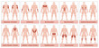 © Peter Hermes Furian - Muscle chart with german names - male body with the largest human muscles, divided into ten labeled cards with names and appropriate highlighted muscle groups - isolated vector illustration on white.