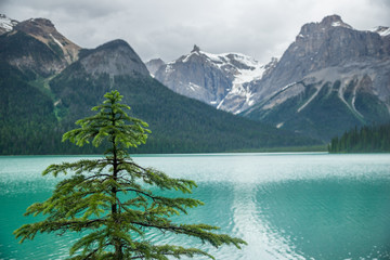 Türkisfarbener Emerald Lake im Yoho National Park, British Columbia, Canada