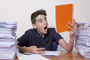 Wall Mural - child on the school desk studying