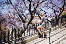 Young Woman Standing On A Stairs In Front Of A Jacaranda Tree