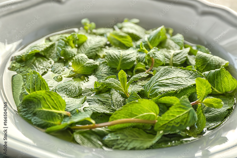 Plate with lemon balm in water, closeup