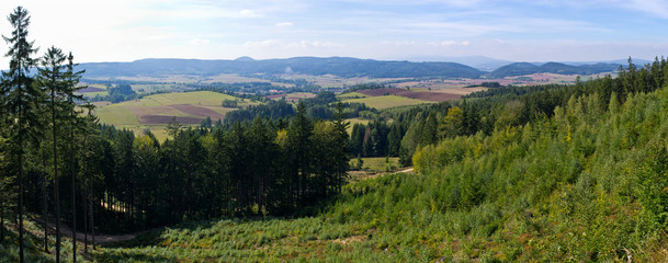 Canvas Print - Hills and forest