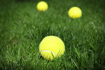 Canvas Print - Tennis balls on fresh green grass outdoors