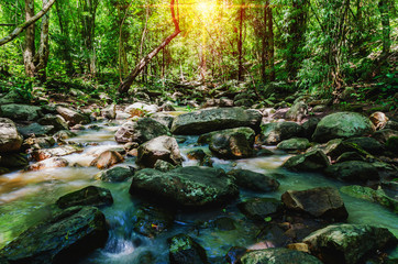 Wall Mural - deep forest waterfall on mountain and sunshine in thailand