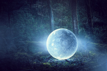 Wall Mural - it is full moon. mixed media