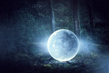 Wall Mural - it is full moon. mixed media