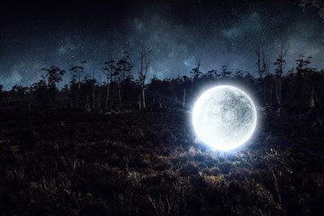 Canvas Print - it is full moon. mixed media