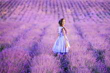 Beautiful Girl In A Field Of Lavender On Sunset. Girl In Amazing Dress Walk On The Lavender Field.