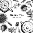  Vector frame with green tea.  Hand drawn. Vintage style