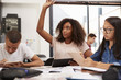 © Monkey Business - Teenage schoolgirl raising hand in class