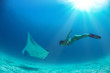 Model freediver with fins in tropical water watching manta ray underwater on blue background