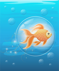 Wall Mural - Vector illustration isolated on background Goldfish aquarium fish silhouette illustration. Colorful cartoon flat aquarium fish icon for your design.