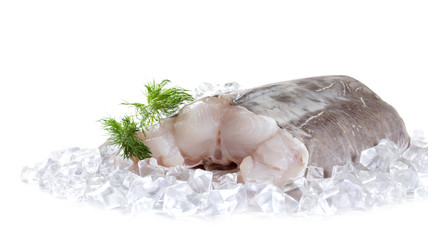 Raw catfish fillet with spices. Isolated on white background