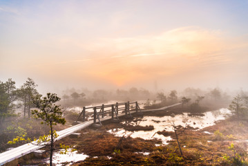 Rime and fog in the swamp at sunrise Kemeri National Park, Latvia