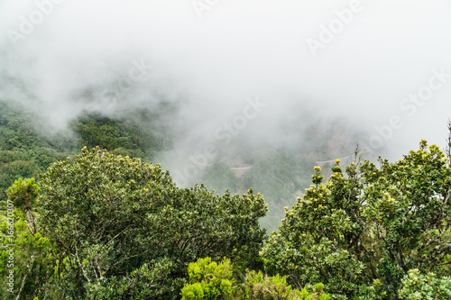 Fotografia, Obraz Nebel und Wolkenbildug entlang der TF-134 auf Teneriffa