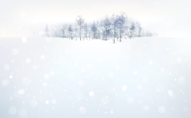 Wall Mural - vector winter forest background.