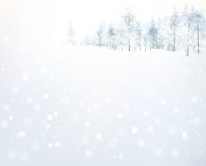 Wall Mural - vector winter forest background.