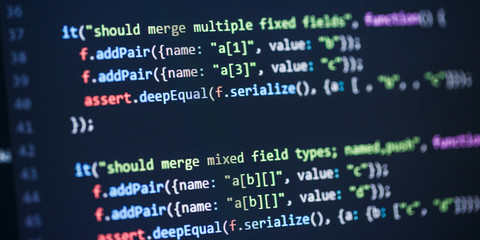 Leinwandbilder - Software developer programming code