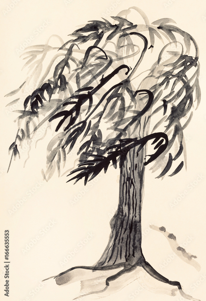 sketch of willow tree - obrazy, fototapety, plakaty 