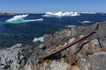 Wall Mural - old rusty anchor along rocky Newfoundland coast with icebergs; Fogo Island