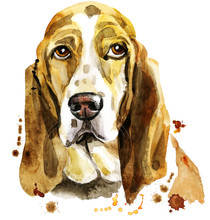 Watercolor Portrait Of Basset Hound