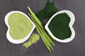 Poster - Green healthy superfood. Spirulina and chlorella.