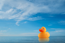 Yellow Rubber Duck On Horizon At Sea
