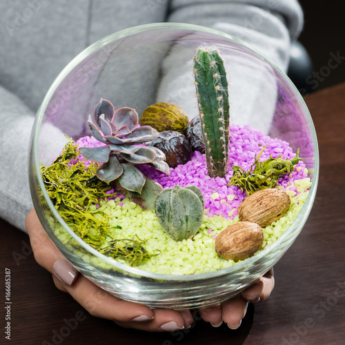 Woman Holding A Beautiful Florarium In Glass Vase With Succulent