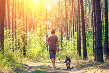 A Man With A Dog On A Leash Walks Along A Dirt Road In The Forest