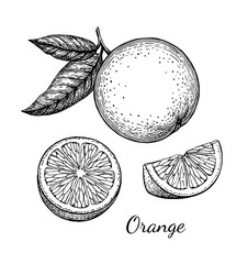 Canvas Print - ink sketch of orange