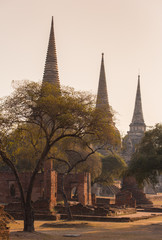 Wall Mural - Wat Phra Si Sanphet Temple in Ayutthaya Historical Park, Thailand