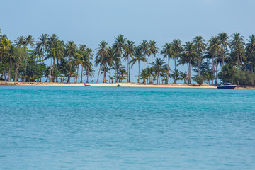 Wall Mural - Beautiful tropical beach with palm trees in Thailand