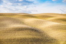 Plowed Fields Under The Blue Sky Of The Val D'Orcia In Italy