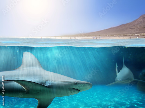 Plakat niebezpieczni surferowie polujący na rekiny w pobliżu tropikalnej plaży