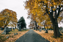 Road In Cemetary
