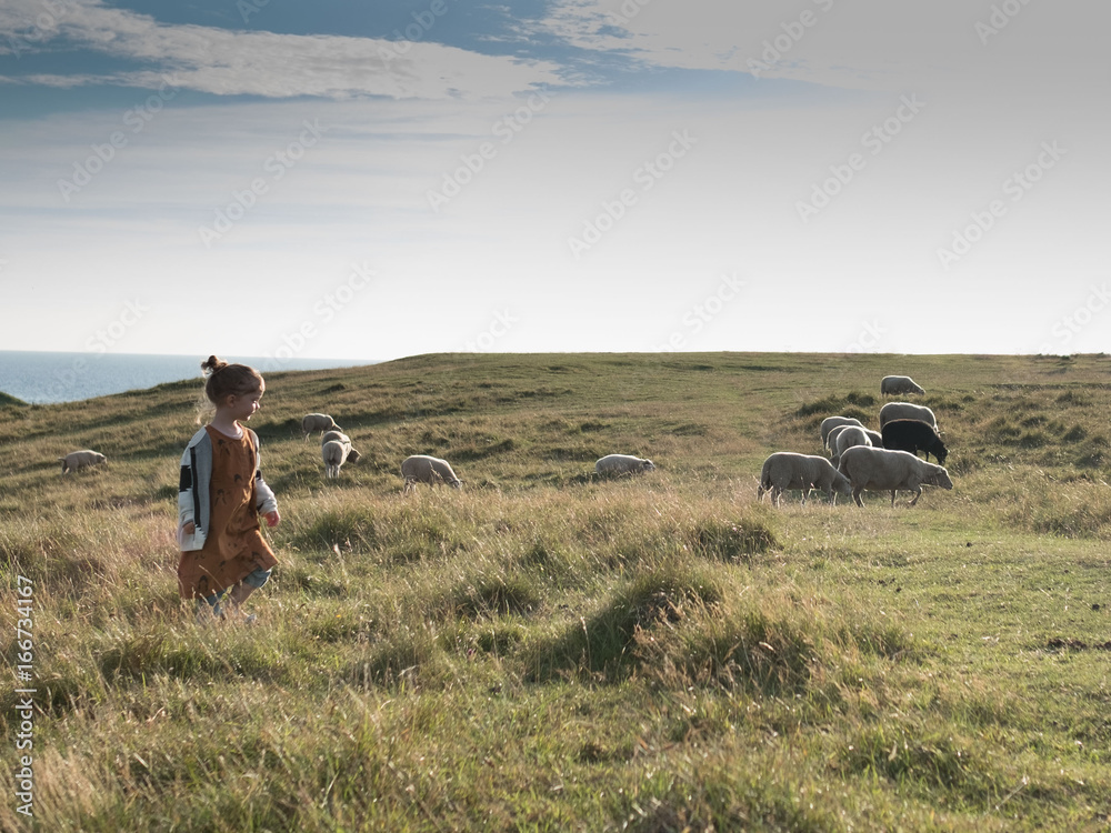 Little girl standing in field with sheep Stock Photo | Adobe Stock
