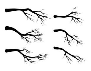 Wall Mural - bare branch set vector symbol icon design. Beautiful illustration isolated on white background
