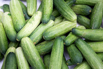 Wall Mural - Fresh cucumber in the market