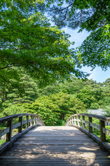  虹の郷日本庭園の錦橋