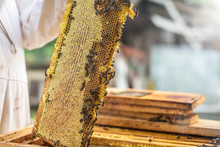 The Process Of Obtaining Honey, Raising The Wax Honey From The Hive